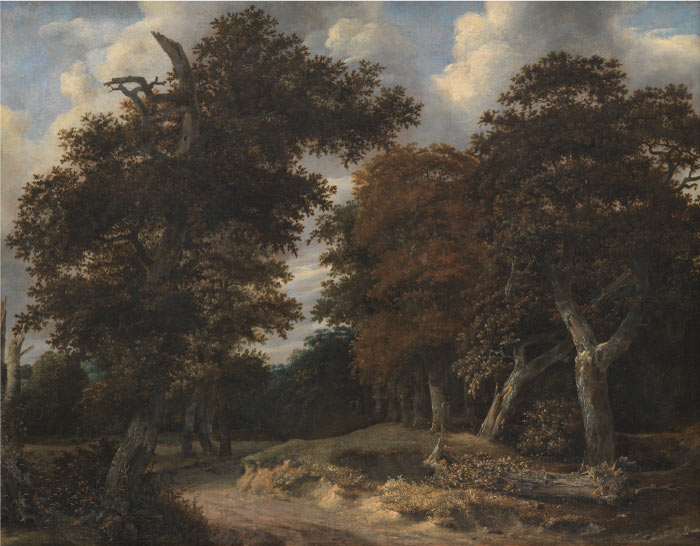 《穿过橡树林的路》雅各布·范·鲁伊斯黛尔（Jacob van Ruisdael）油画-Road through an Oak Forest，72ppi