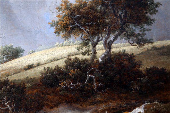 《一片玉米地，背景是祖伊德教堂》雅各布·范·鲁伊斯黛尔（Jacob van Ruisdael）油画-un campo di granoturco e sullo sfondo la zuidekerk