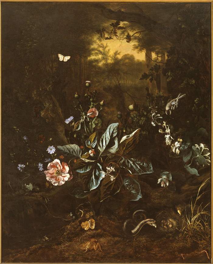 《森林静物-蛇和青蛙》雷切尔·鲁伊施 （Rachel Ruysch） 的画作-Schilderij toegeschreven aan