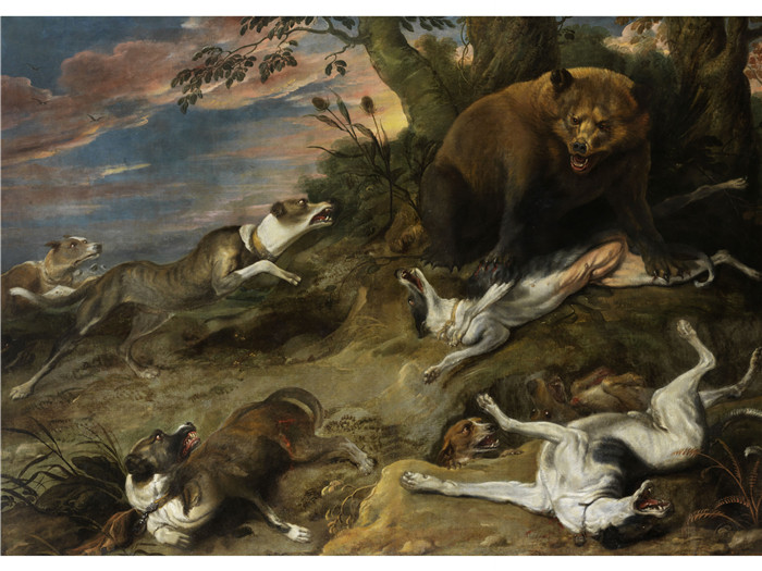 《灰狗捕猎熊》弗兰斯·斯奈德斯（Frans Snyders）油画-Greyhound hunting a bear