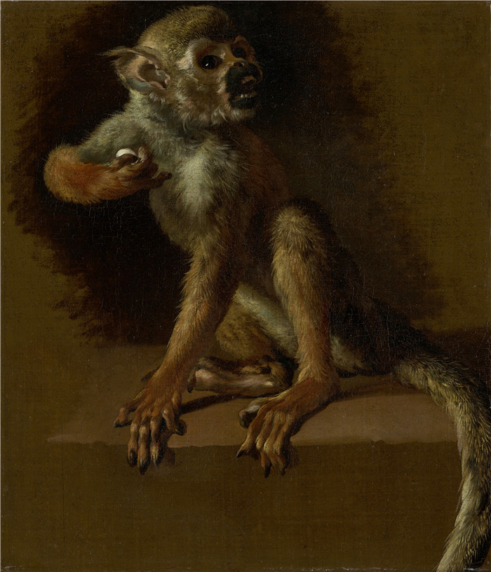 扬·维尼克斯（Jan Weenix）油画-一只坐着的猴子 Een zittend aapje