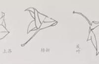 国画教程：牵牛花的画法