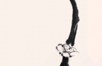 写意白梅、绿梅画法