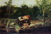 《阿廖努什卡》瓦斯涅佐夫 俄国