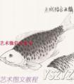 各种鱼的写意画法
