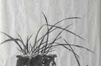 兰花紫藤小鸟的画法