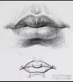 素描嘴巴耳朵画法详解