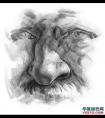 如何画素描鼻子 绘画艺术示范