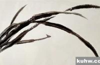 国画萱草花的画法