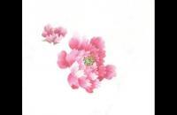 牡丹的绘画步骤