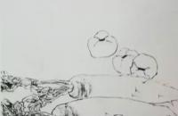 花鸟画蔬果的画法