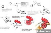 国画鸡的画法步骤