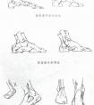 素描人体手脚透视图