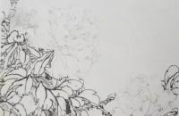 花鸟画牡丹的画法