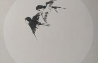 燕子和迎春花的画法