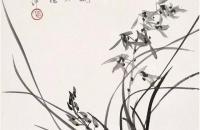 如何画好兰花？