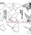 写意蝴蝶画法图文教程