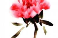 教你如何画彩墨牡丹