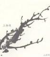 梅花新枝画法及枝干组合