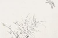 工笔《蜻蜓戏竹 》示范步骤