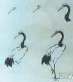 国画写意鹤的画 法
