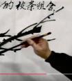 梅花枝干的画法视频