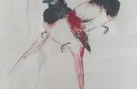 牡丹绶带迎春的画法