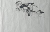 鸳鸯和玉兰花的画法