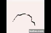 梅干的五种画法技巧