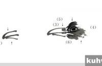 白头翁鸟的写意画法