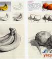 素描静物单个刻画步骤讲解