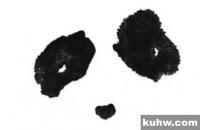 国画熊猫的画法步骤