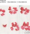 国画写意月季花的画法