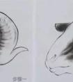 工笔羊的步骤画法