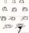 国画菊花写意画法步骤