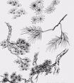 中国画松树画法