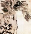 闵贞作品《蕉石图》 闵贞国画作品-清