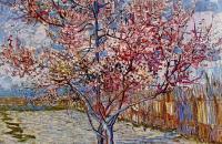 文森特·梵高 –盛开的桃树油画作品