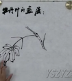 徐湛牡丹叶子画法视频 1