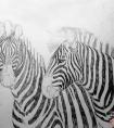 动物油画示范-斑马