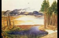 阿尔布雷希特·丢勒 (Albrecht Dürer) 作品-树林里的池塘