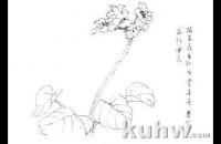 写意花卉技法