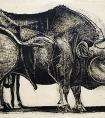 毕加索《公牛，形态四》作品- 西班牙