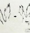 国画写意兔子画法