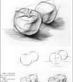 素描西红柿的画法