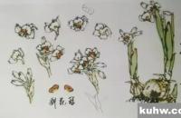 花鸟画水仙的画法