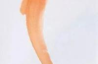 国画锦鲤的画法教程