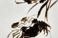 螃蟹的简单画法