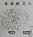国画写意菊花画法 画花头方法1
