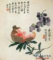 倪耘《花果草虫图》（石榴葡萄图） 倪耘国画作品-清